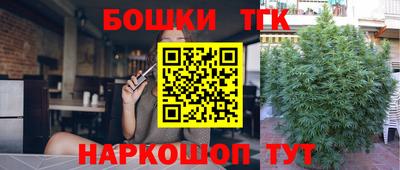 молекула духа Лесосибирск