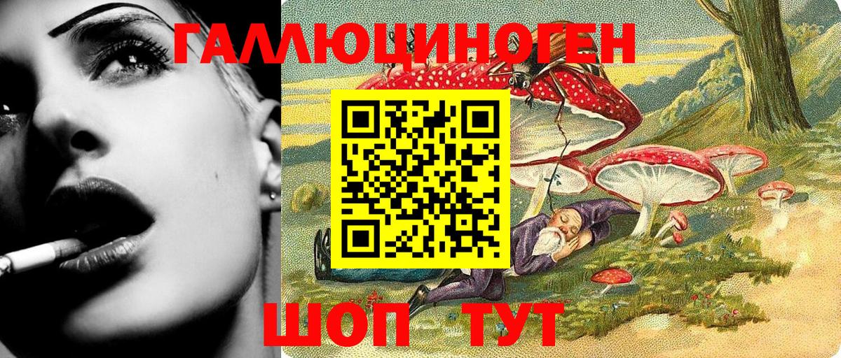 Каменск-Шахтинский  Псилоцибиновые грибы Magic Shrooms  Вход с VPN 